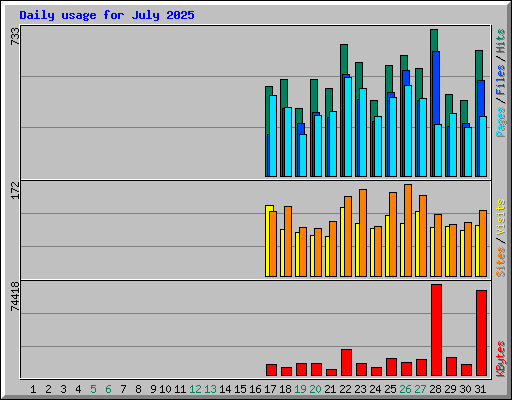 Daily usage for July 2025
