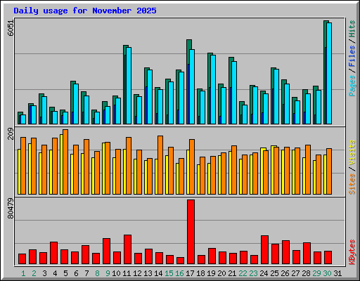 Daily usage for November 2025