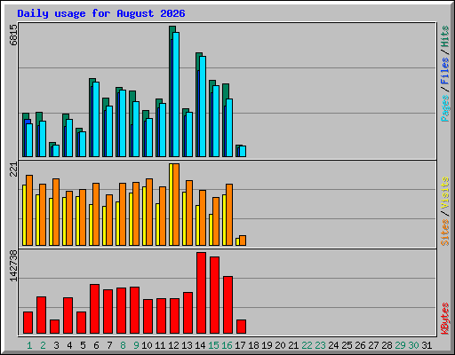Daily usage for August 2026