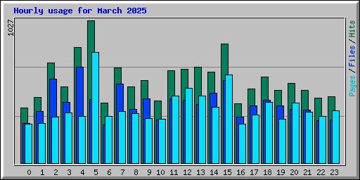 Hourly usage for March 2025