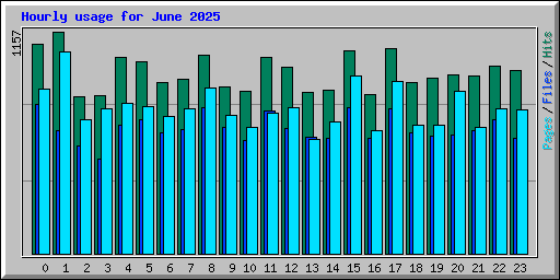 Hourly usage for June 2025