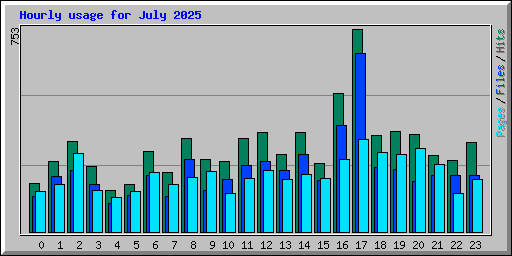 Hourly usage for July 2025