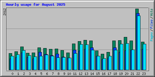 Hourly usage for August 2025