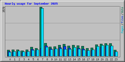 Hourly usage for September 2025