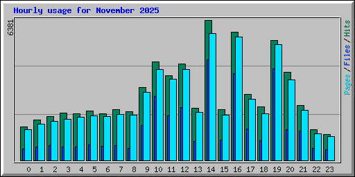 Hourly usage for November 2025