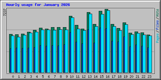Hourly usage for January 2026