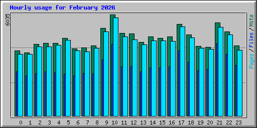 Hourly usage for February 2026