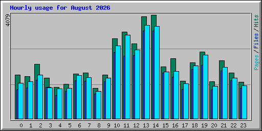 Hourly usage for August 2026