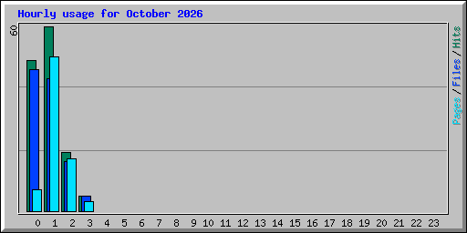 Hourly usage for October 2026